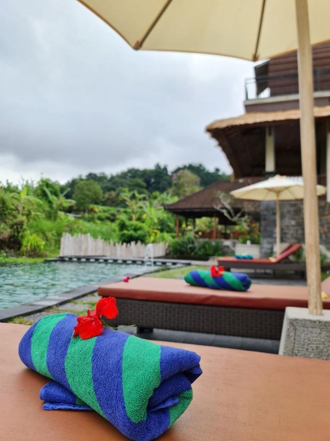 Alamgangga Villas Tirta Gangga كارانغاسِم المظهر الخارجي الصورة