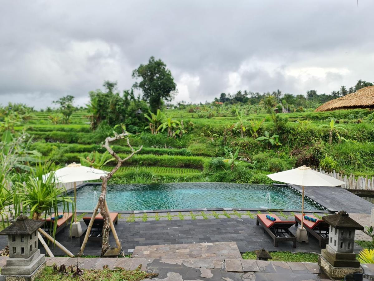 Alamgangga Villas Tirta Gangga كارانغاسِم المظهر الخارجي الصورة