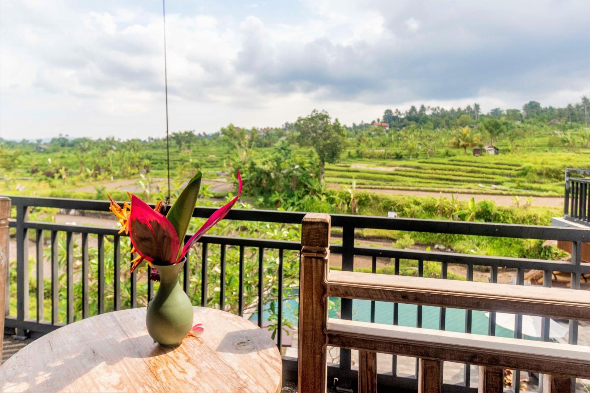 Alamgangga Villas Tirta Gangga كارانغاسِم المظهر الخارجي الصورة